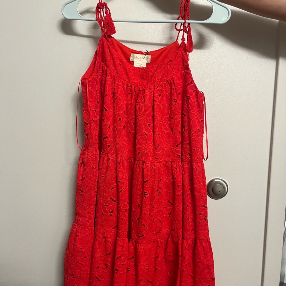 Altar'd State Red Lace Mini Dress